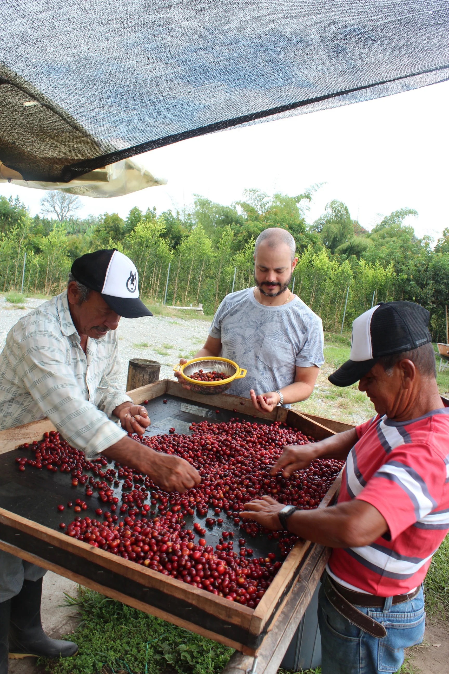 Educational Specialty Coffee Foundations