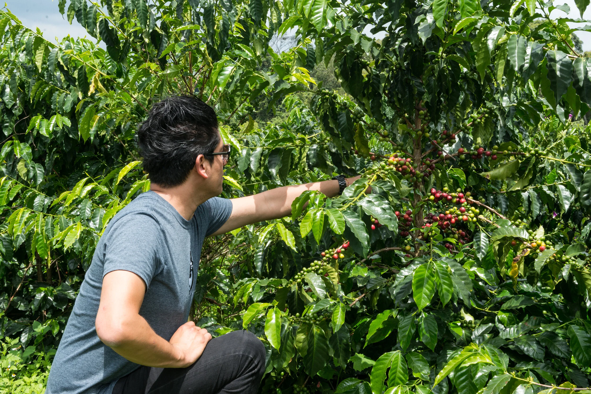 Is all about the origins