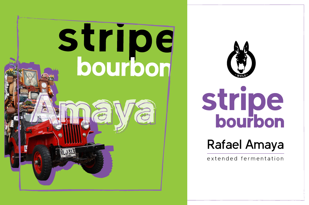 Stripe-Bourbon-OS.png