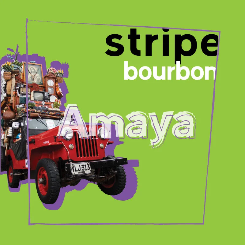 Stripe-Bourbon-Square.jpg