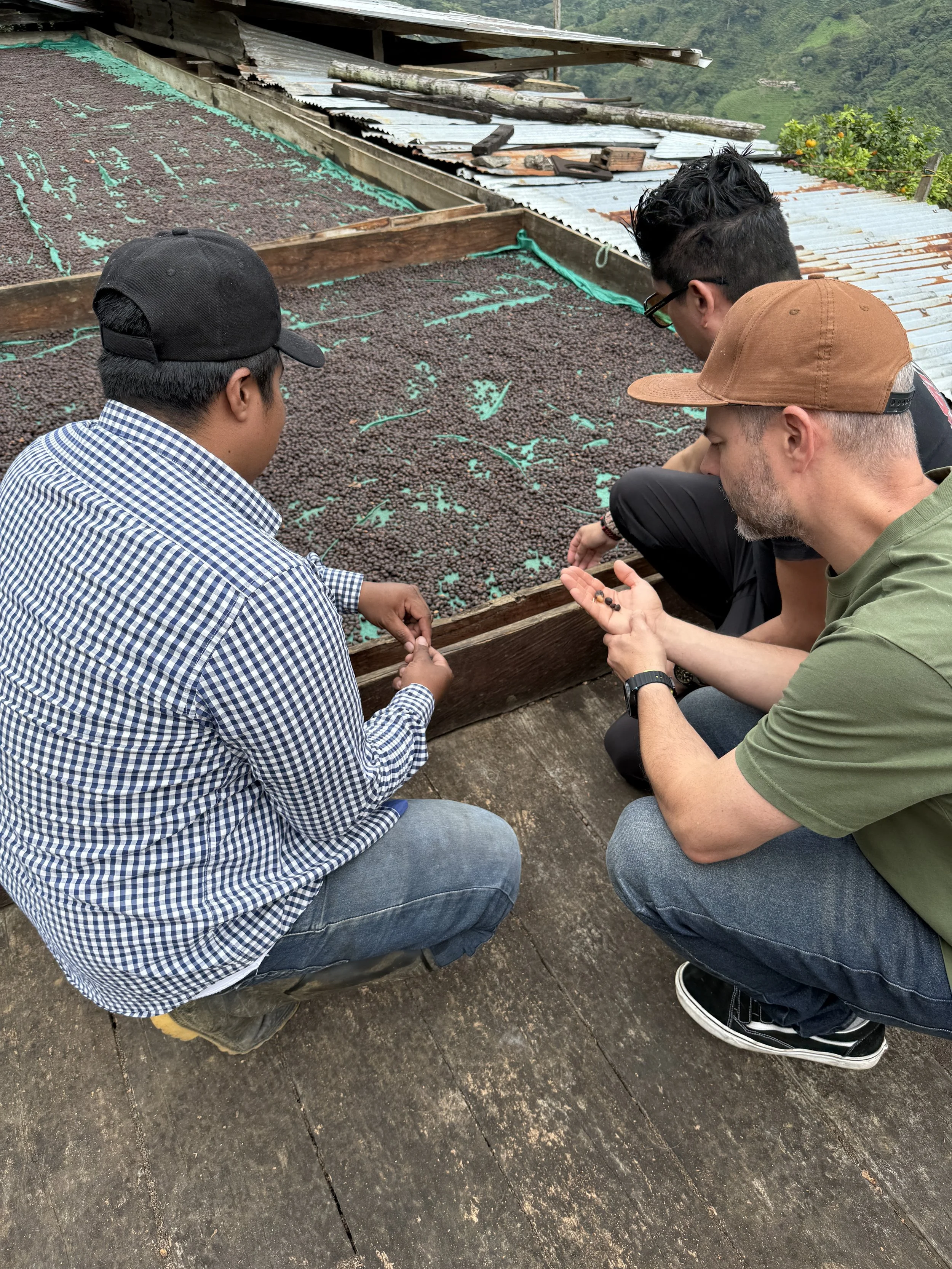 Cesar and Nico tasting a natural processed coffee