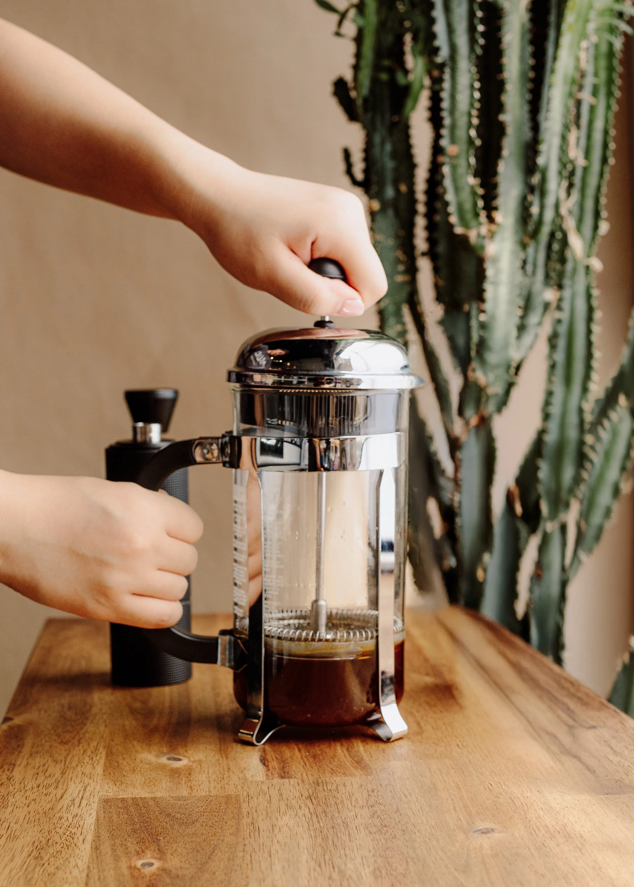 How to Make Cold Brew in a French Press (Easy Summer Recipe)