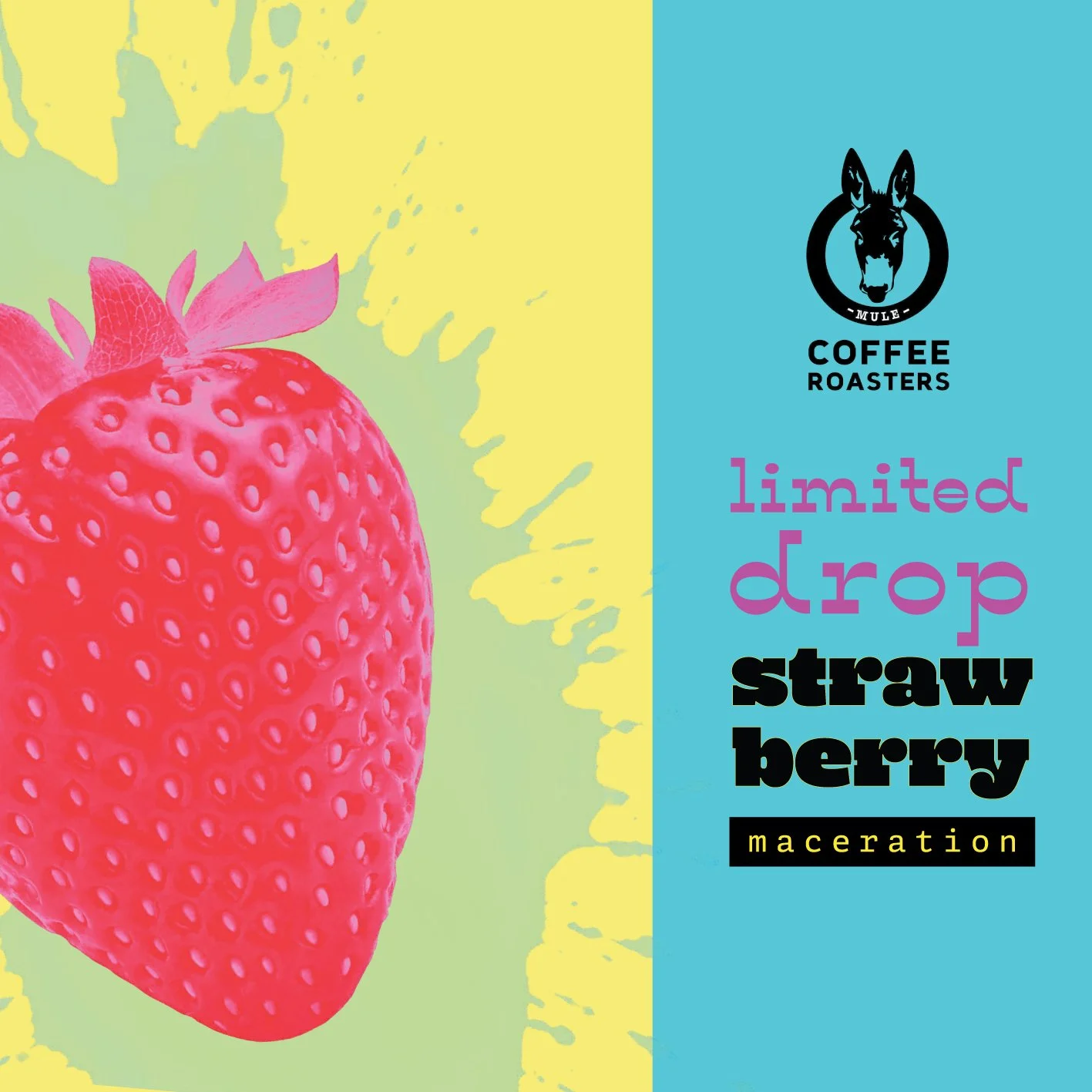 OS-Strawberry.jpg