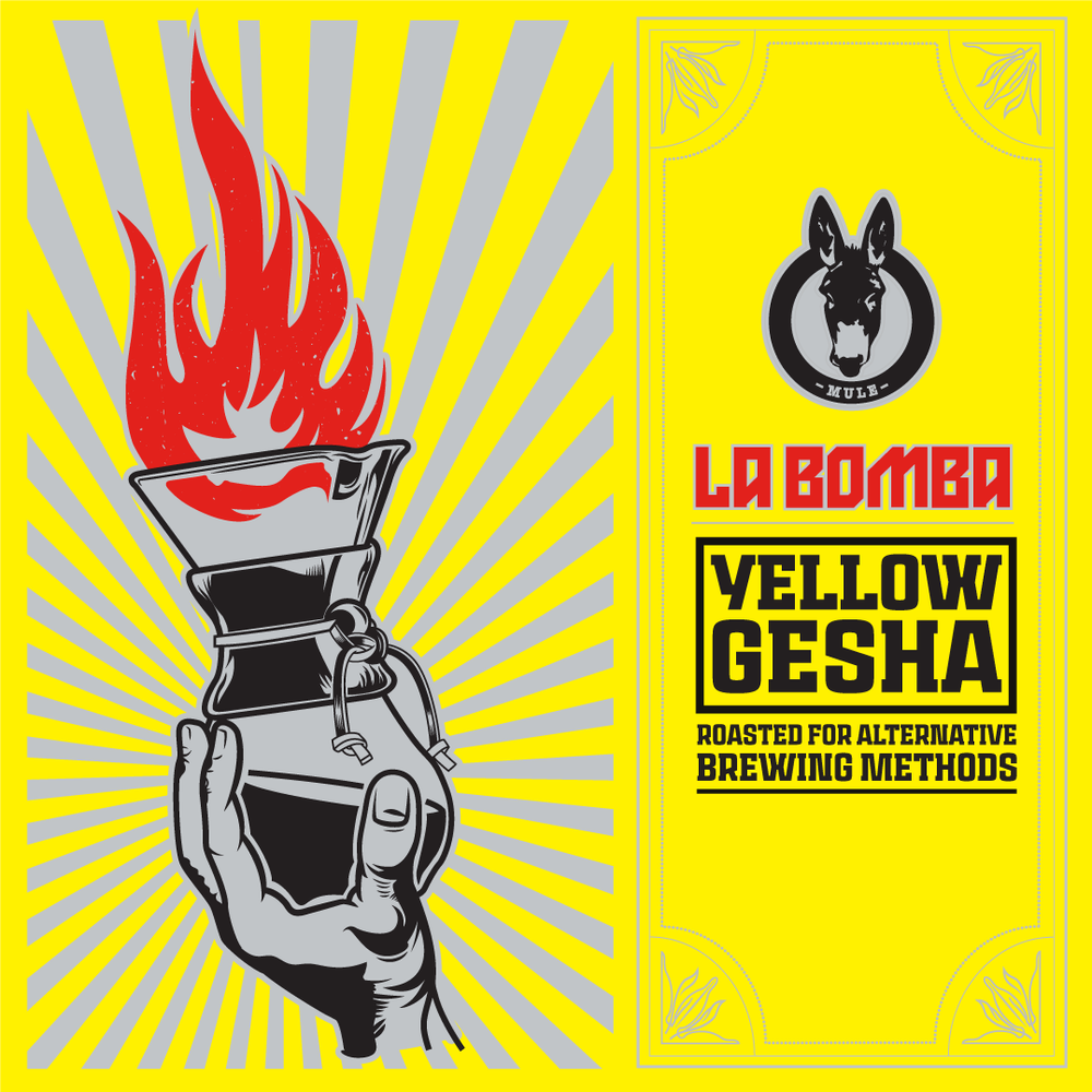 Single Origin - Yellow Gesha