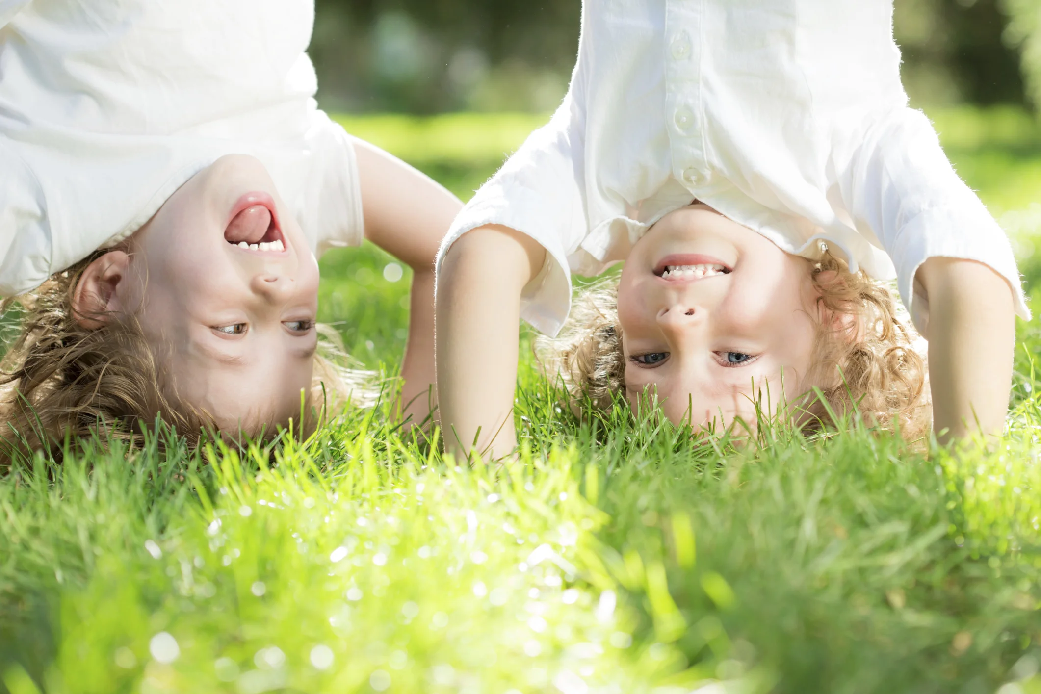 Photo by yaruta/iStock / Getty Images