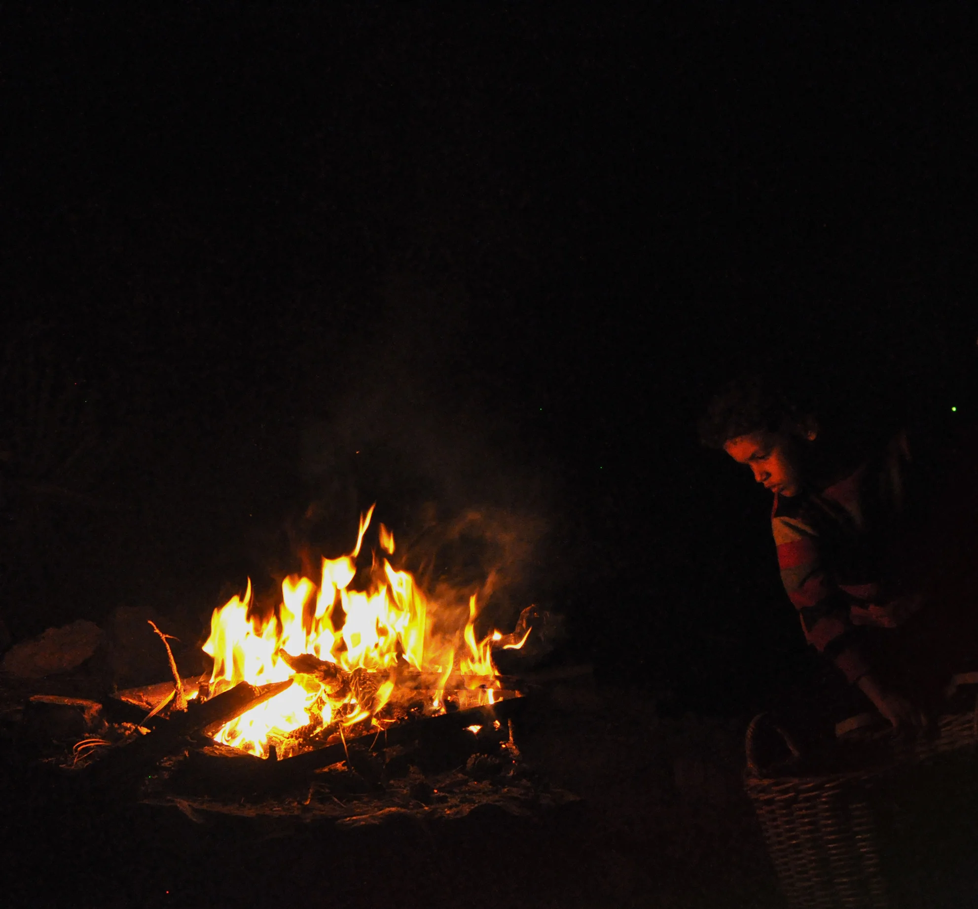 South Africa, 2011