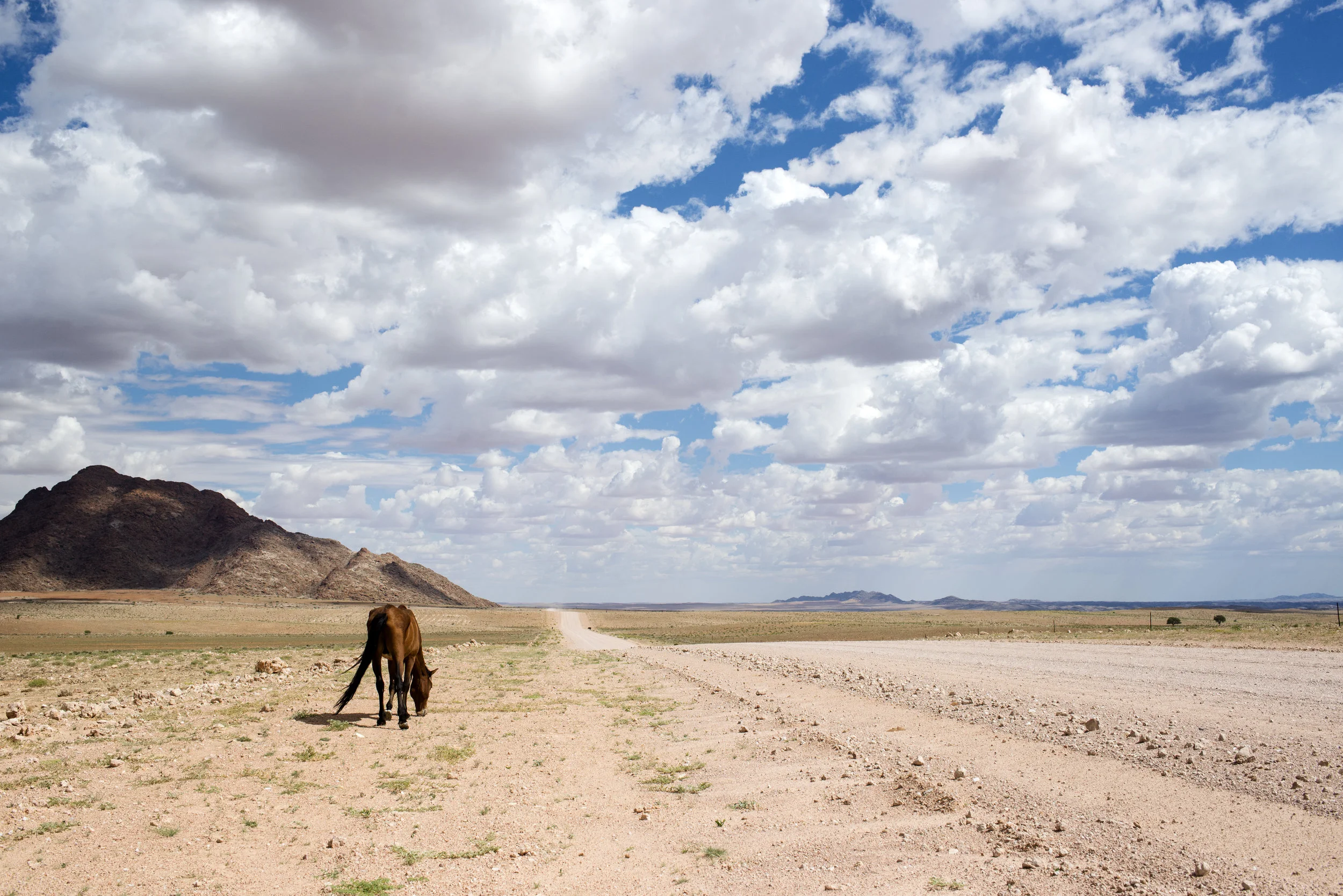 Namibia, 2017