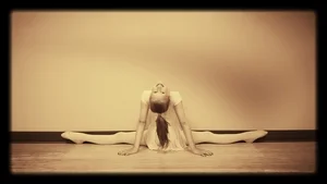 Did you know-Ballet facts? 