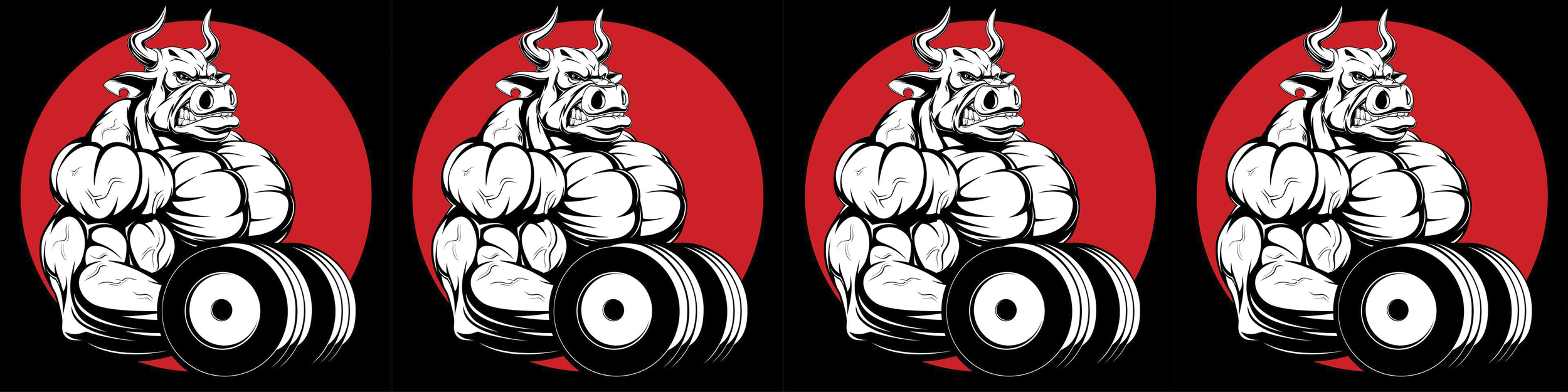 Bulls Fitness Rating 4/5