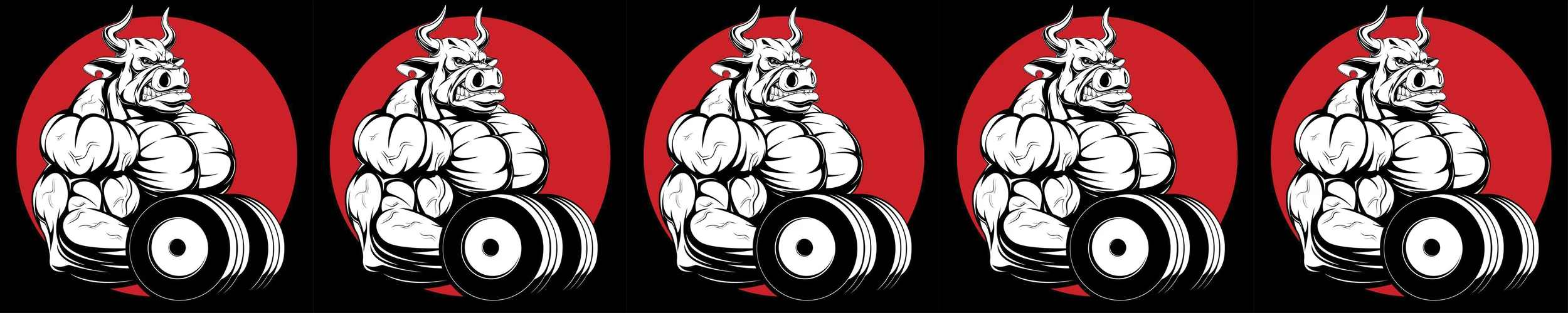 Bulls Fitness Rating 5/5