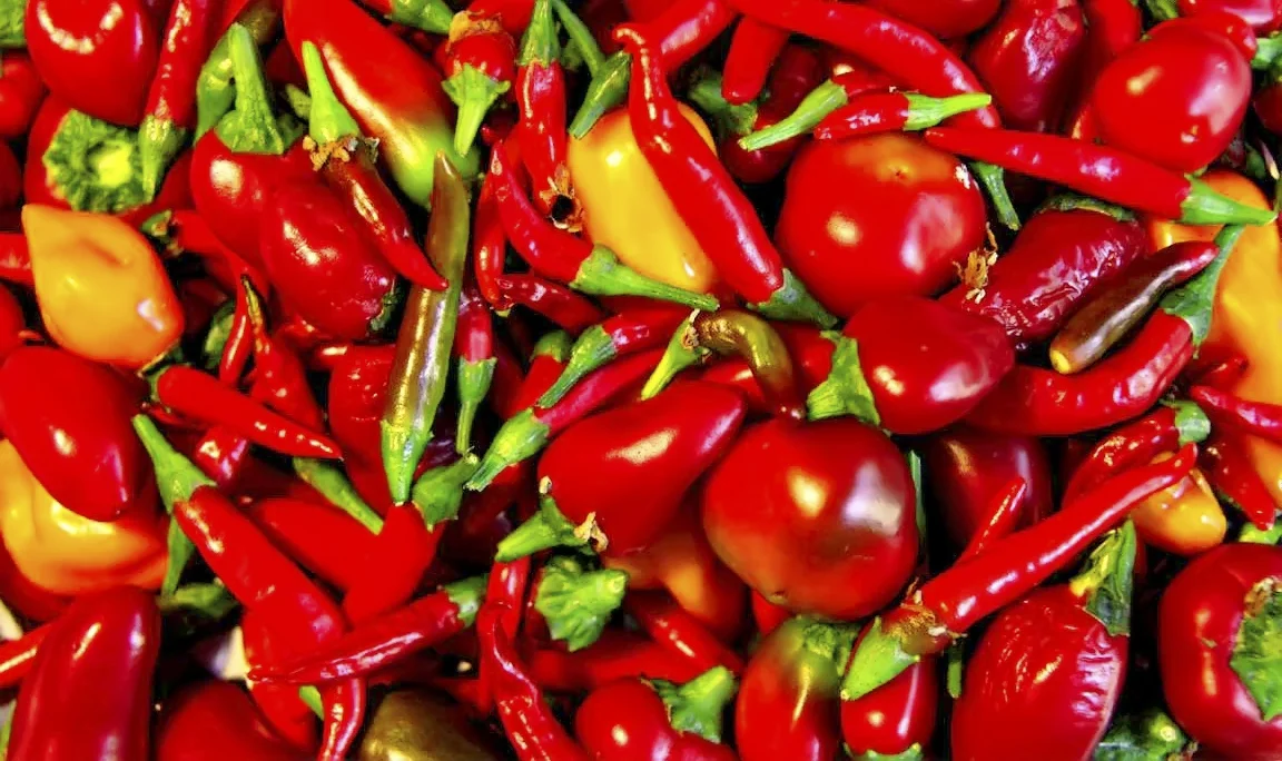 Hot_Chilli.jpg