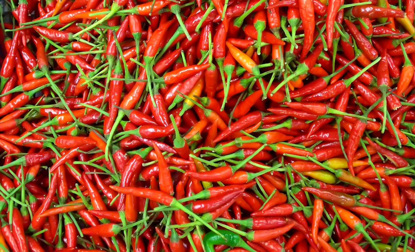 Mild_Chilli.jpg