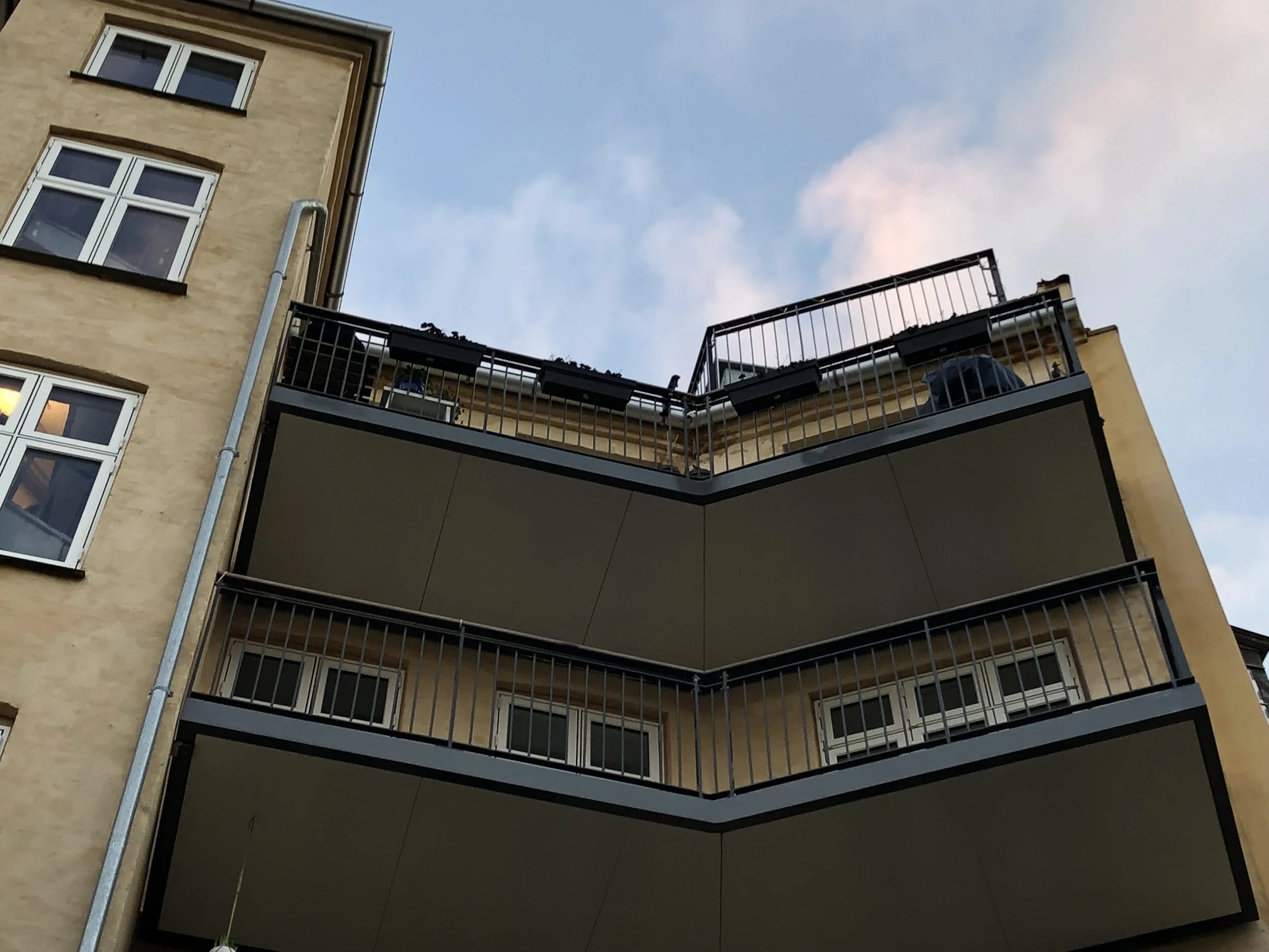 IMG_0365.jpeg