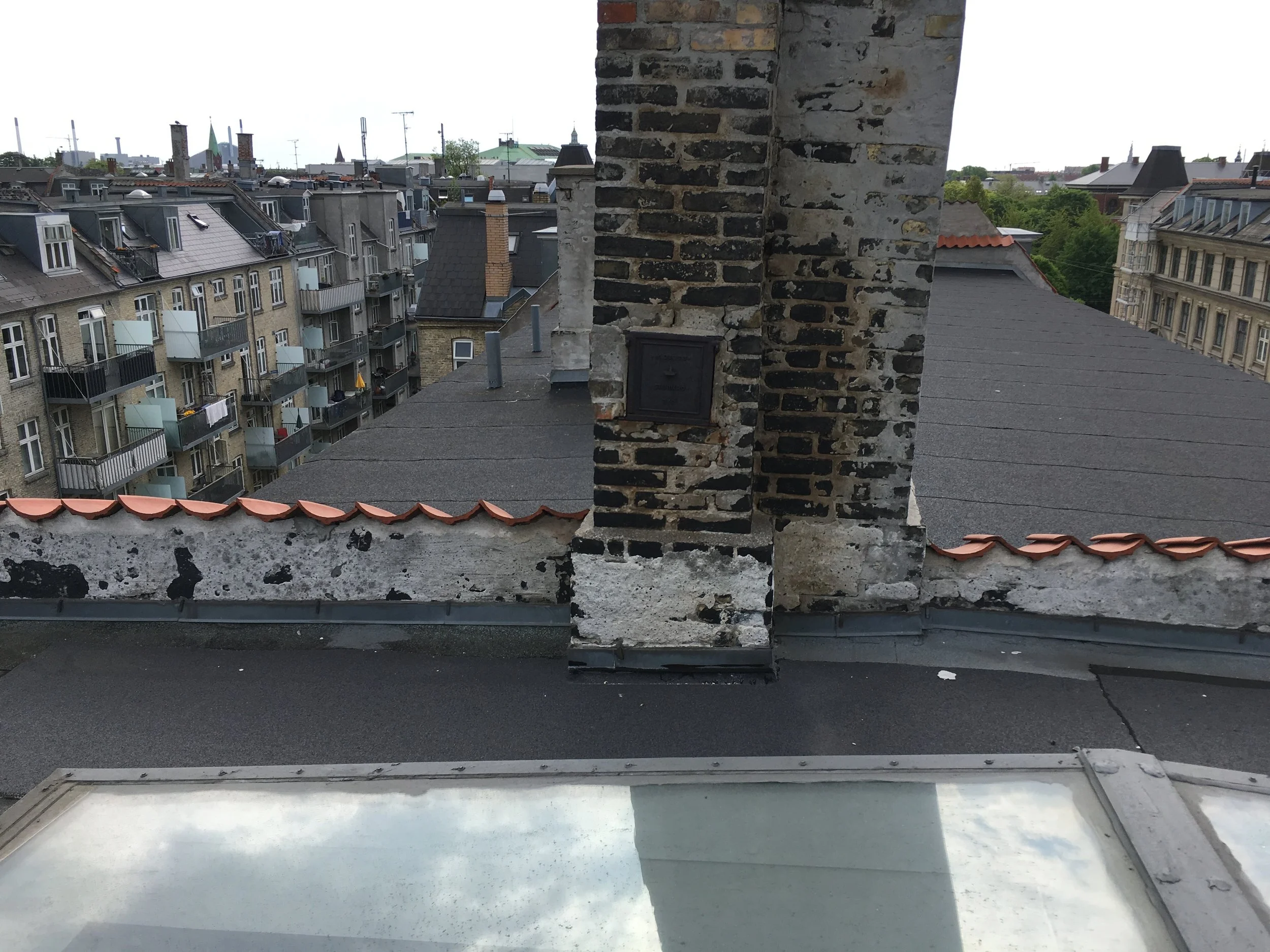 IMG_9746.jpeg