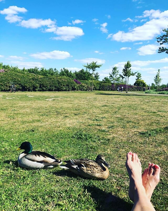 Good company- zonder anderhalve meter ✌🏽🦆