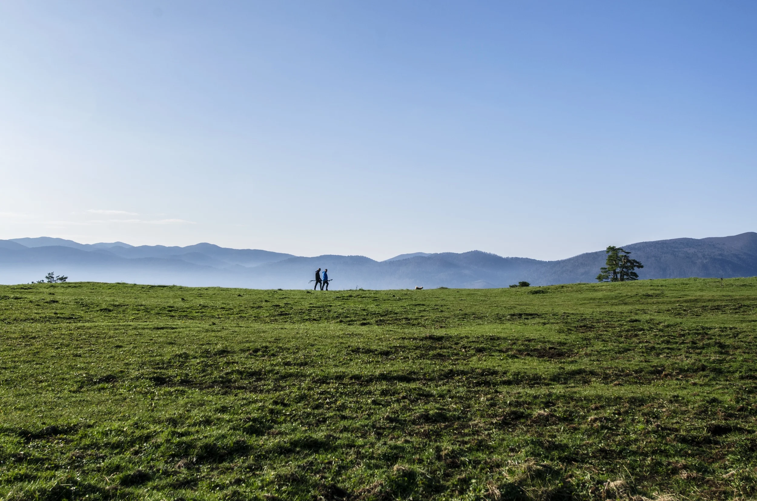 unsplash-ales-krivek-mountaintops.jpeg
