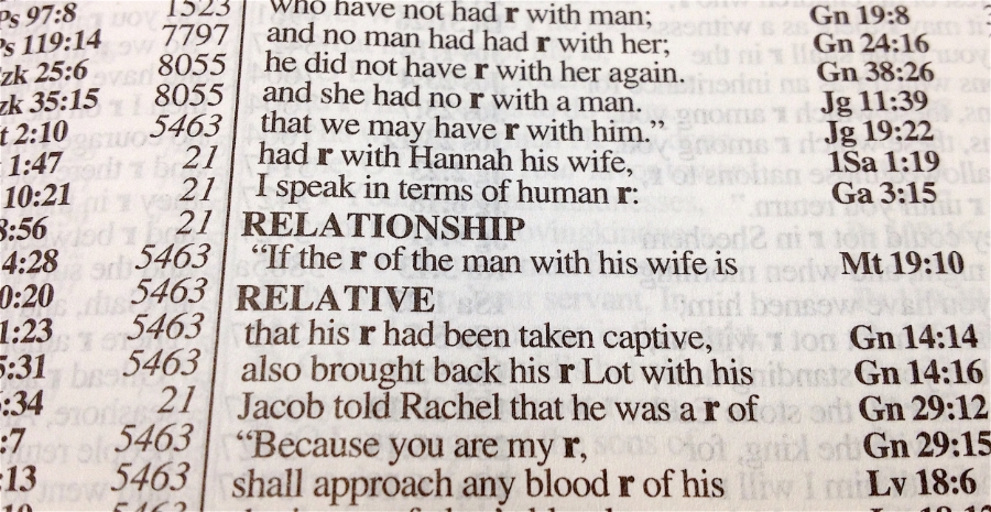 Here's the one time "relationship" appears in the bible (from the NASB exhaustive concordance)