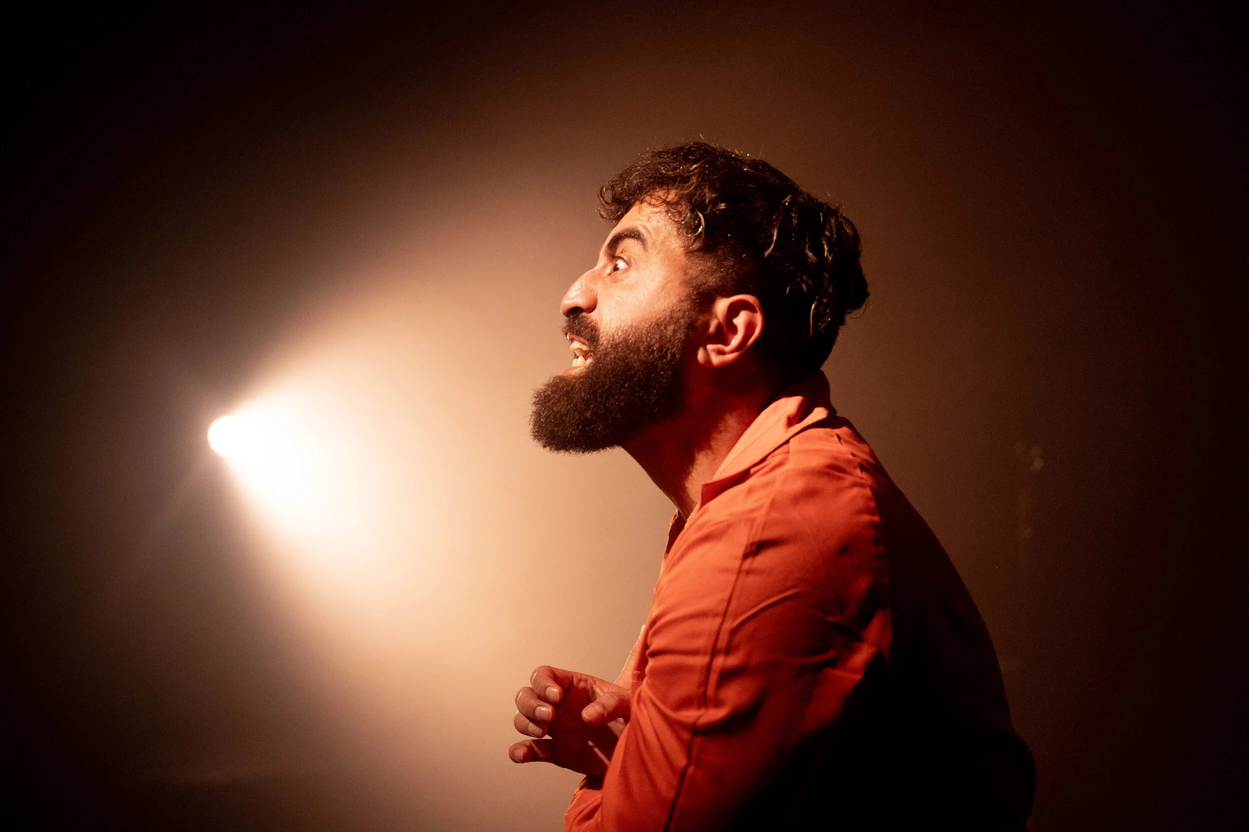 Onvoorspelbaar Verleden - Black Sheep Can Fly in coproductie met Theater Utrecht (2020)