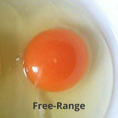 free-range.jpg