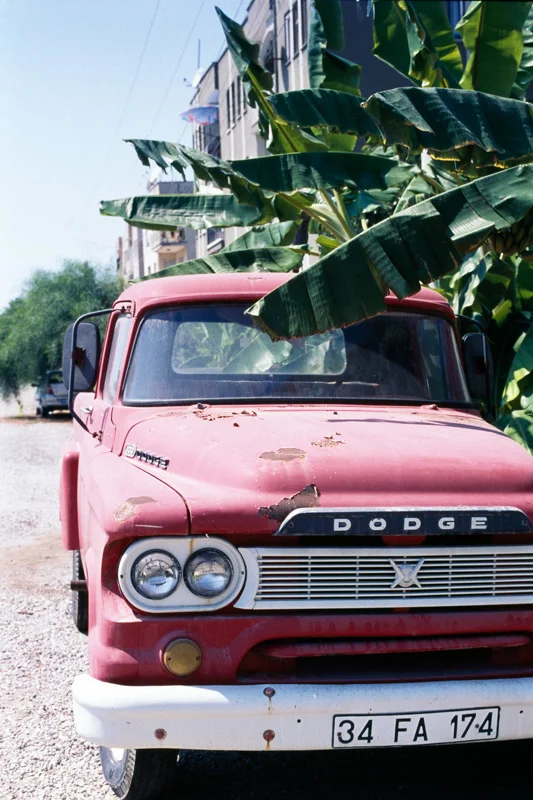 Decaying Dodge.