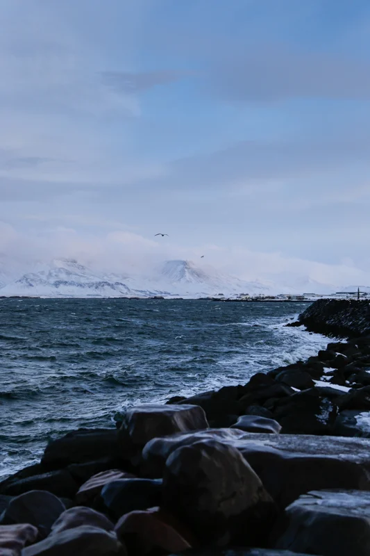 Reykjavik Seascape three.