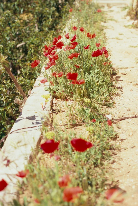 Vilamoura, Portugal. 