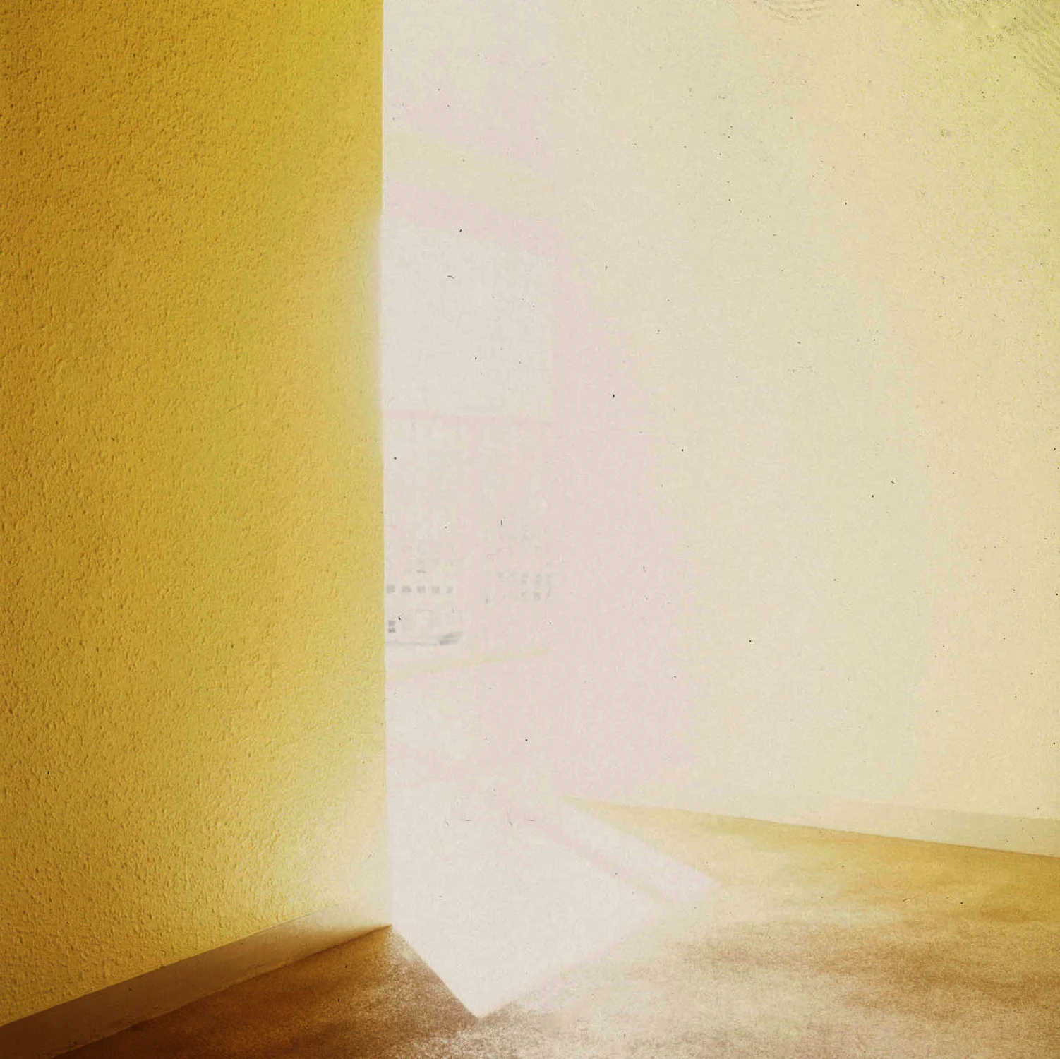 four bright yellow web.jpg