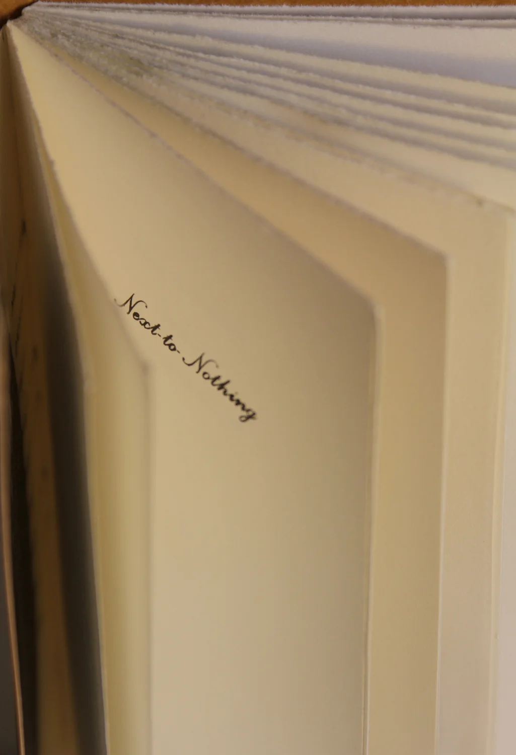 Next to Nothing, Shed Press Publications.