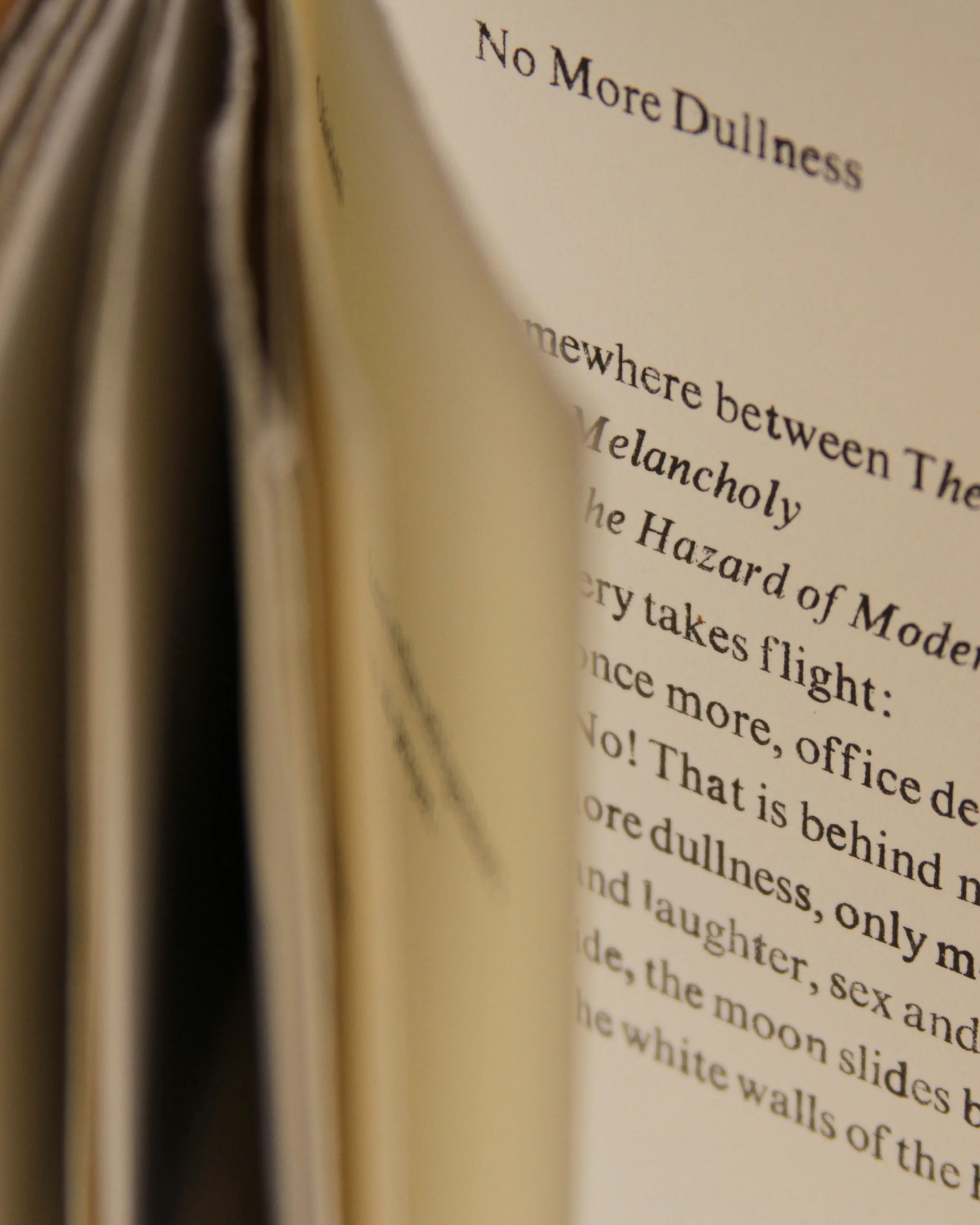 Next to Nothing, Shed Press Publications.