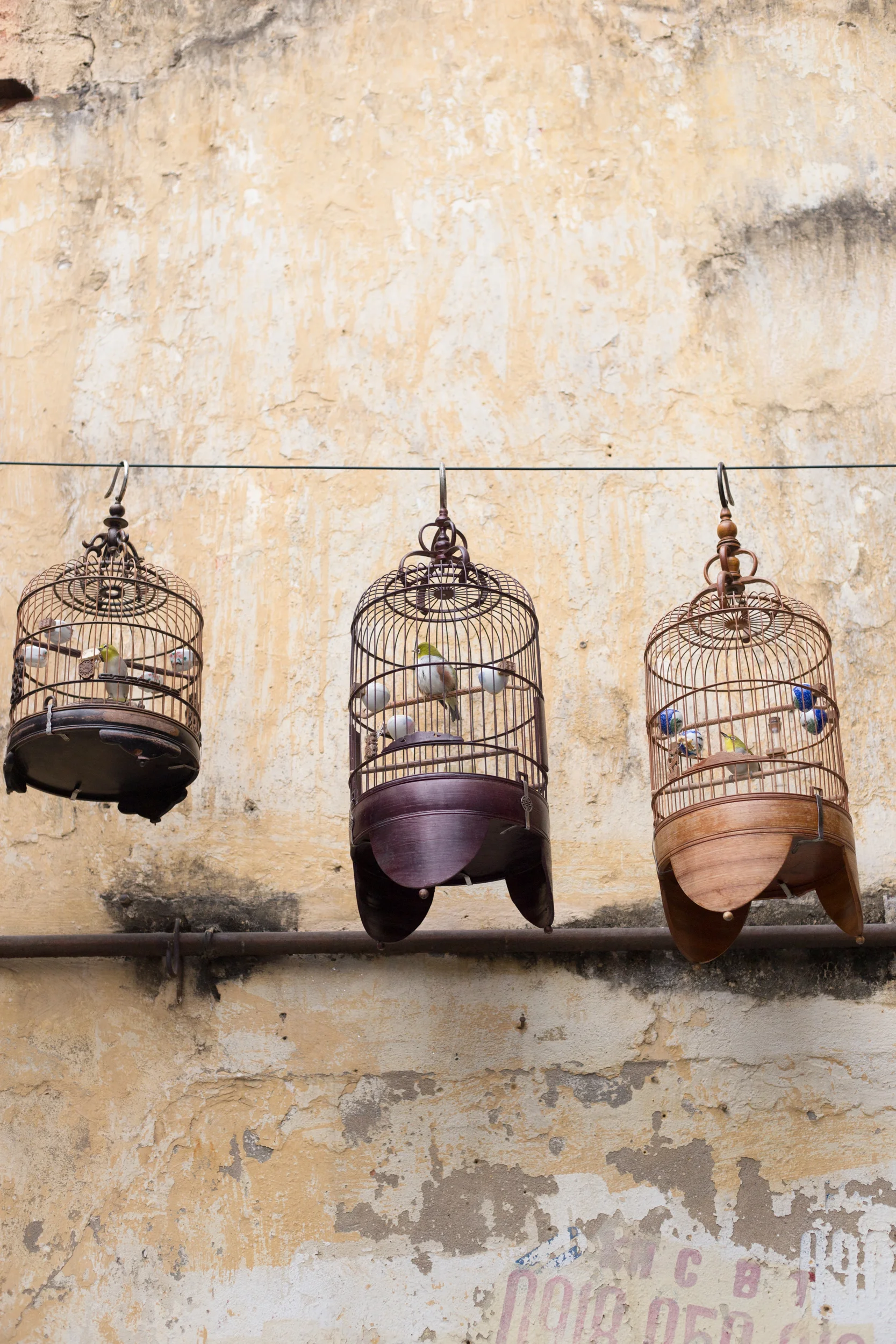 Hanoi caged birds_ Chloe Edwards Photography-3.jpg