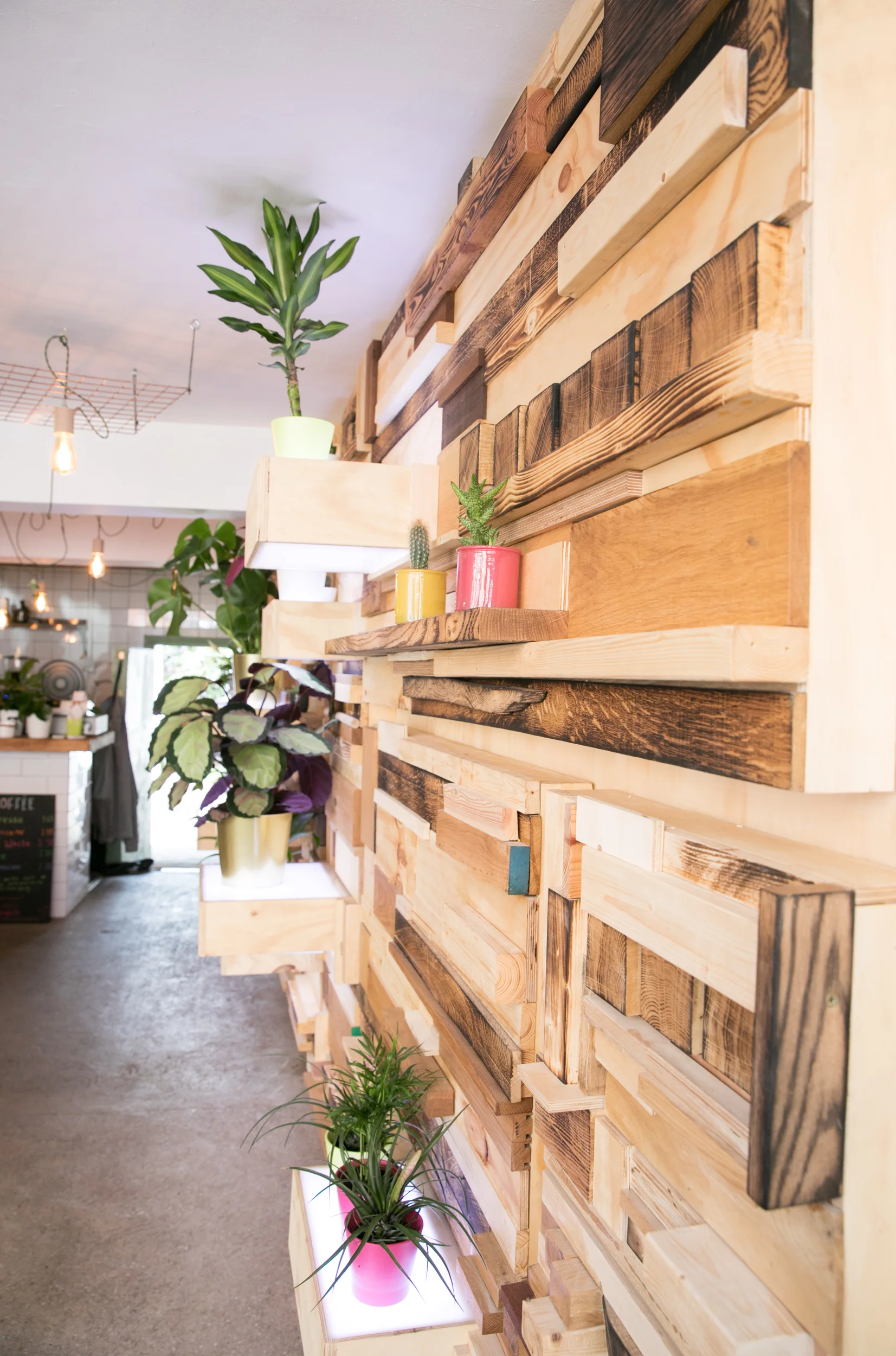 Kareem_juicebar_Picton Street_Chloe Edwards Photography-10.jpg