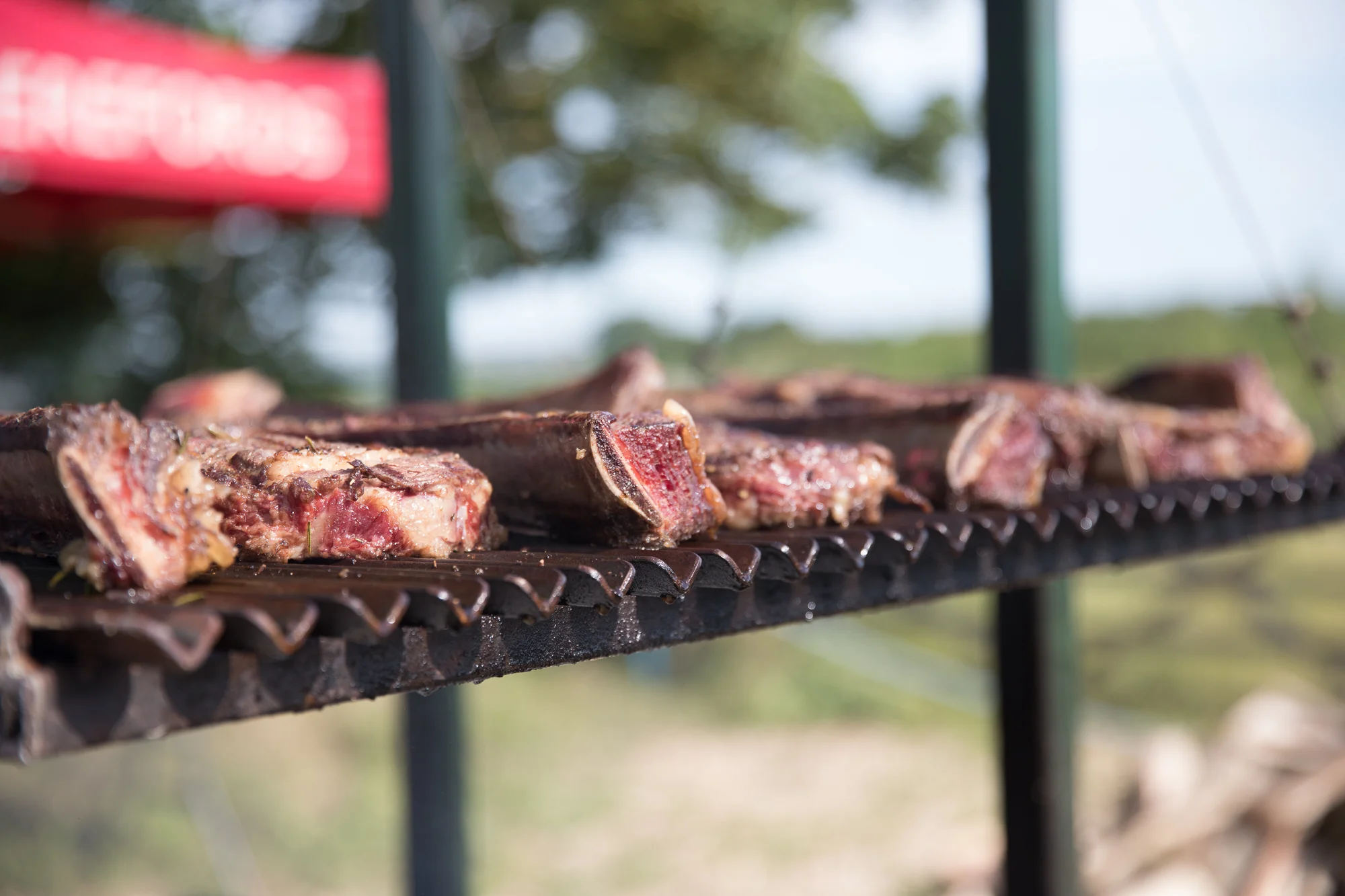 Sustainable Food Trust 2019 _Farming and climate change by Chloe Edwards Photography-0220.jpg
