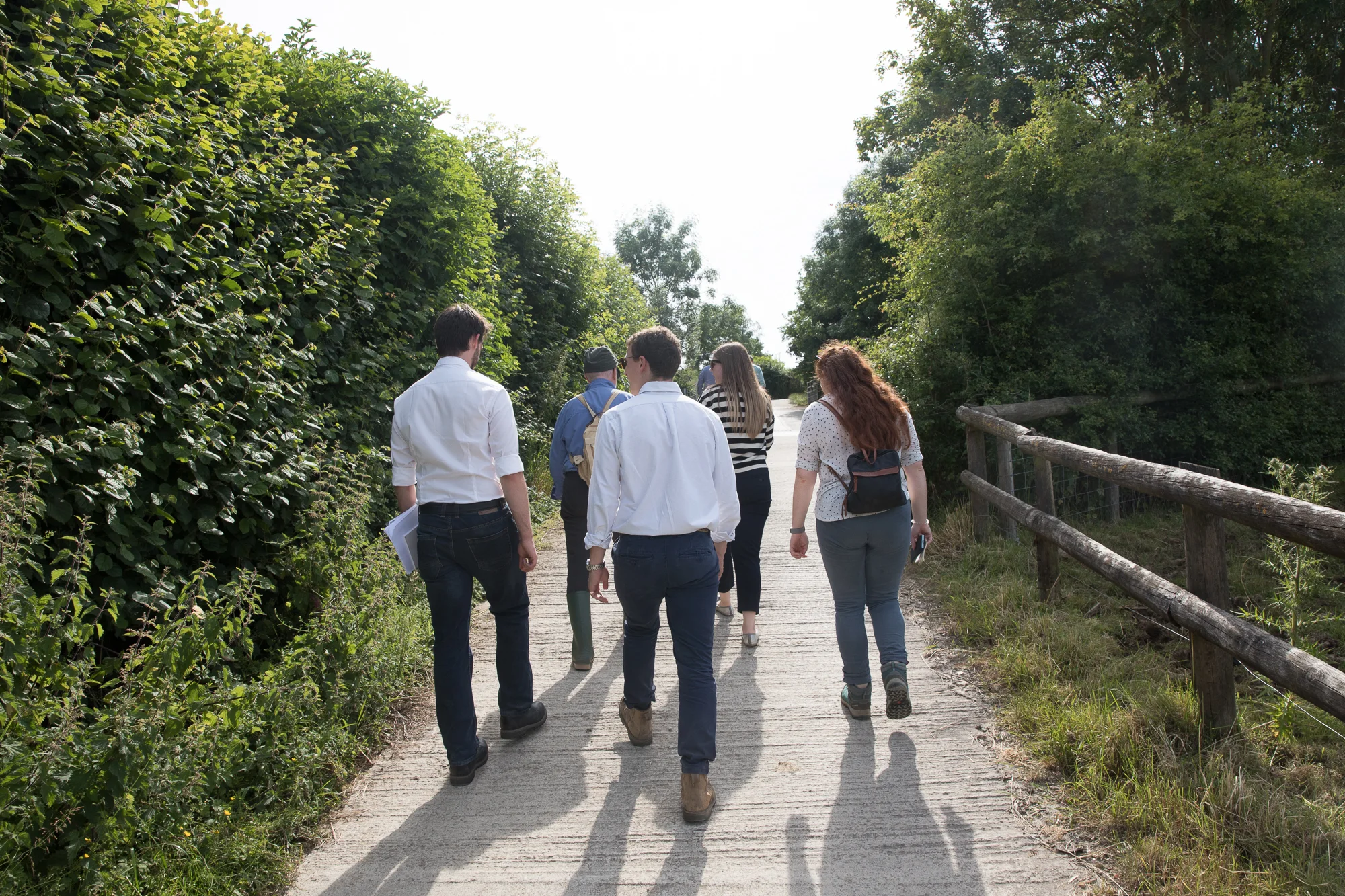 Sustainable Food Trust 2019 _Farming and climate change by Chloe Edwards Photography-0199.jpg