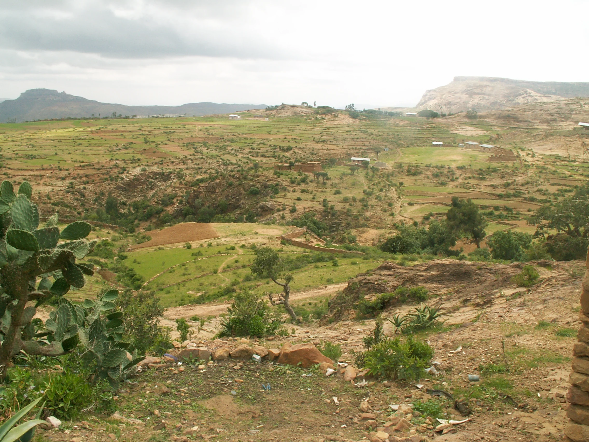 C 063.jpg