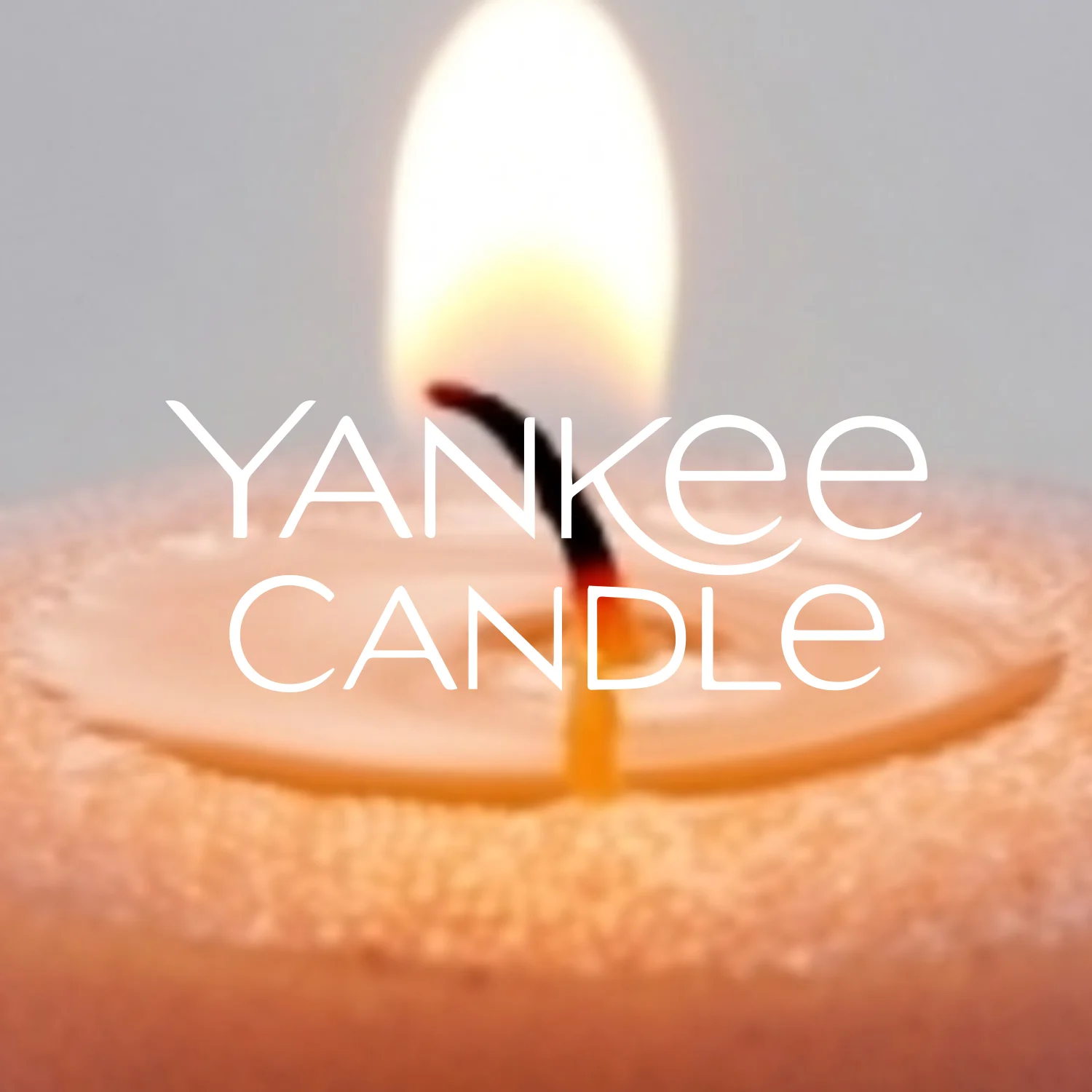 yankee.jpg