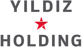 Yıldız Holding