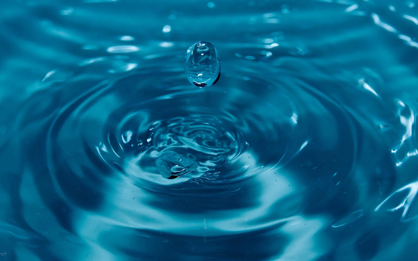 Water Soluble Dissolvable Labels