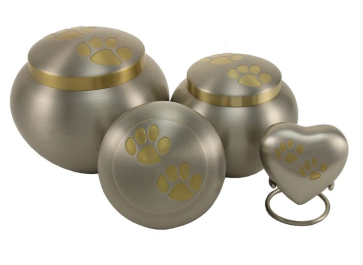 Screen Shot 2022-03-08 at 1.10.29 PM.png