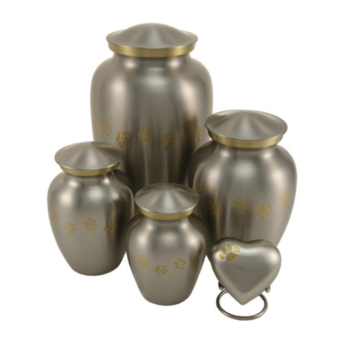 Screen Shot 2022-03-08 at 1.11.41 PM.png