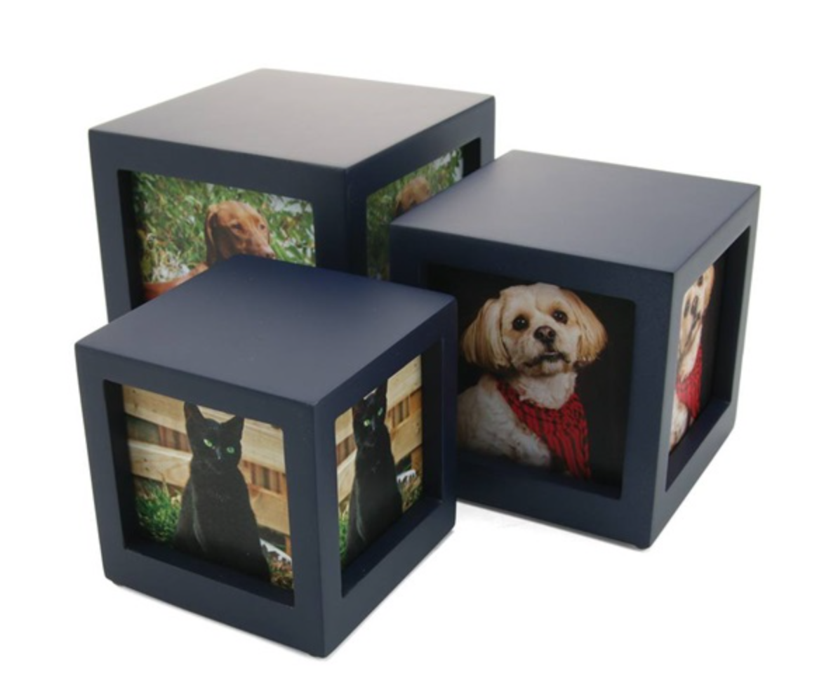 Screen Shot 2022-03-08 at 2.18.14 PM.png