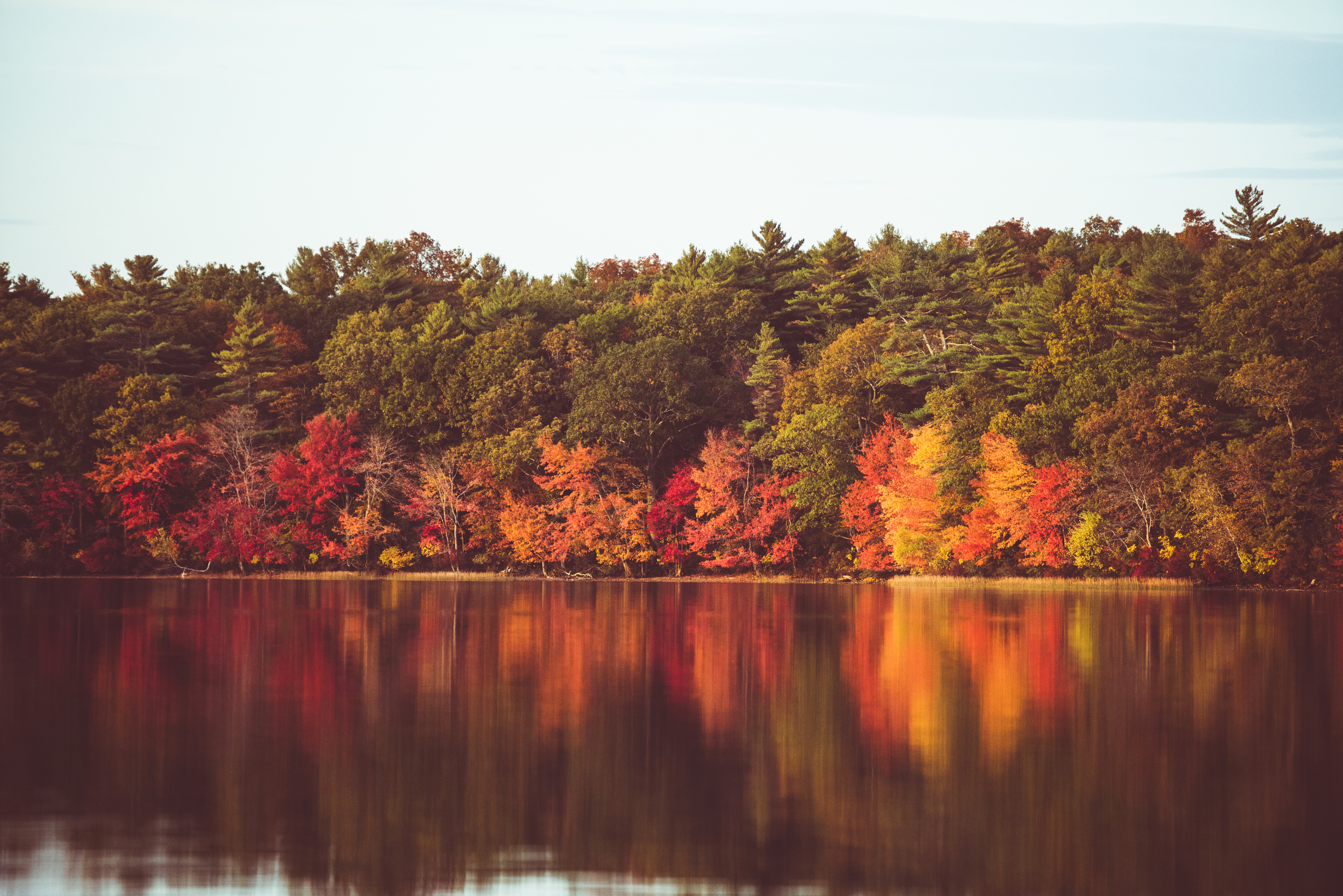 Fall Colors