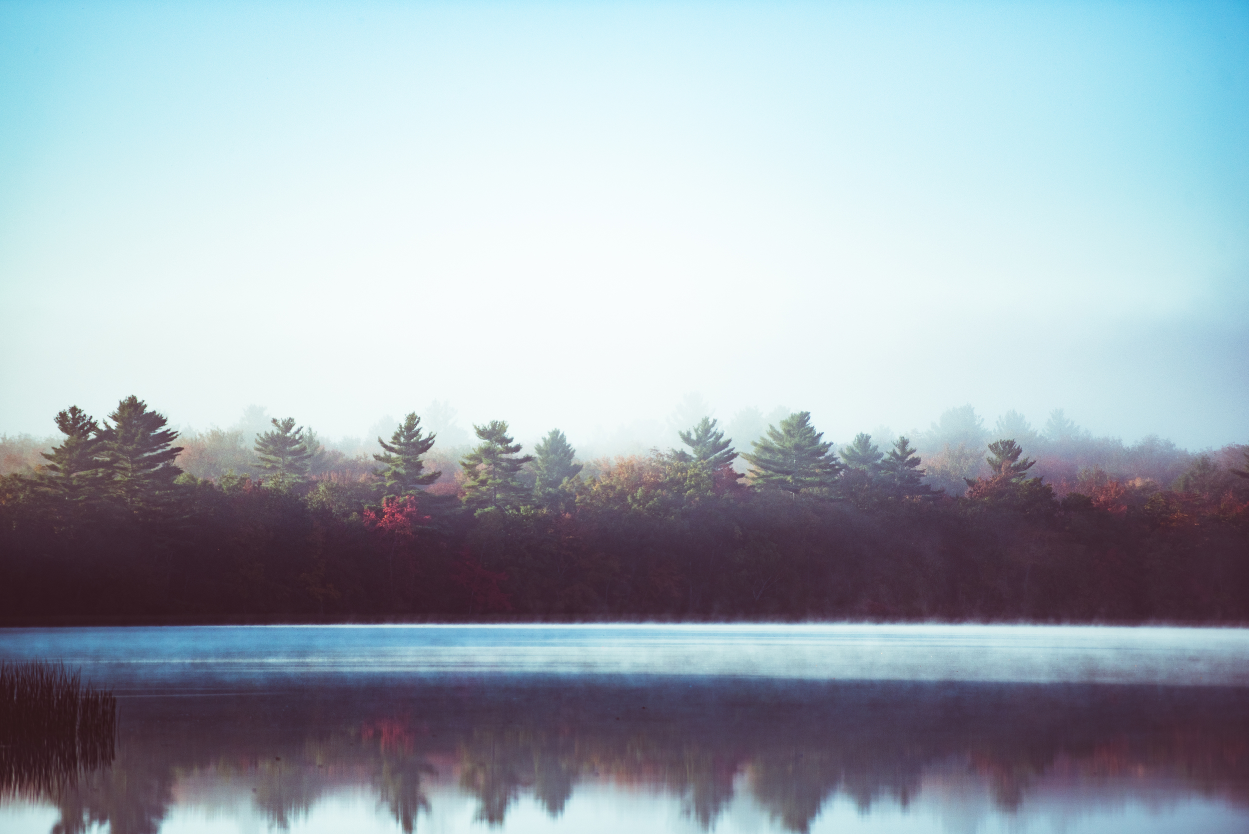 Foggy Morning on the Lake