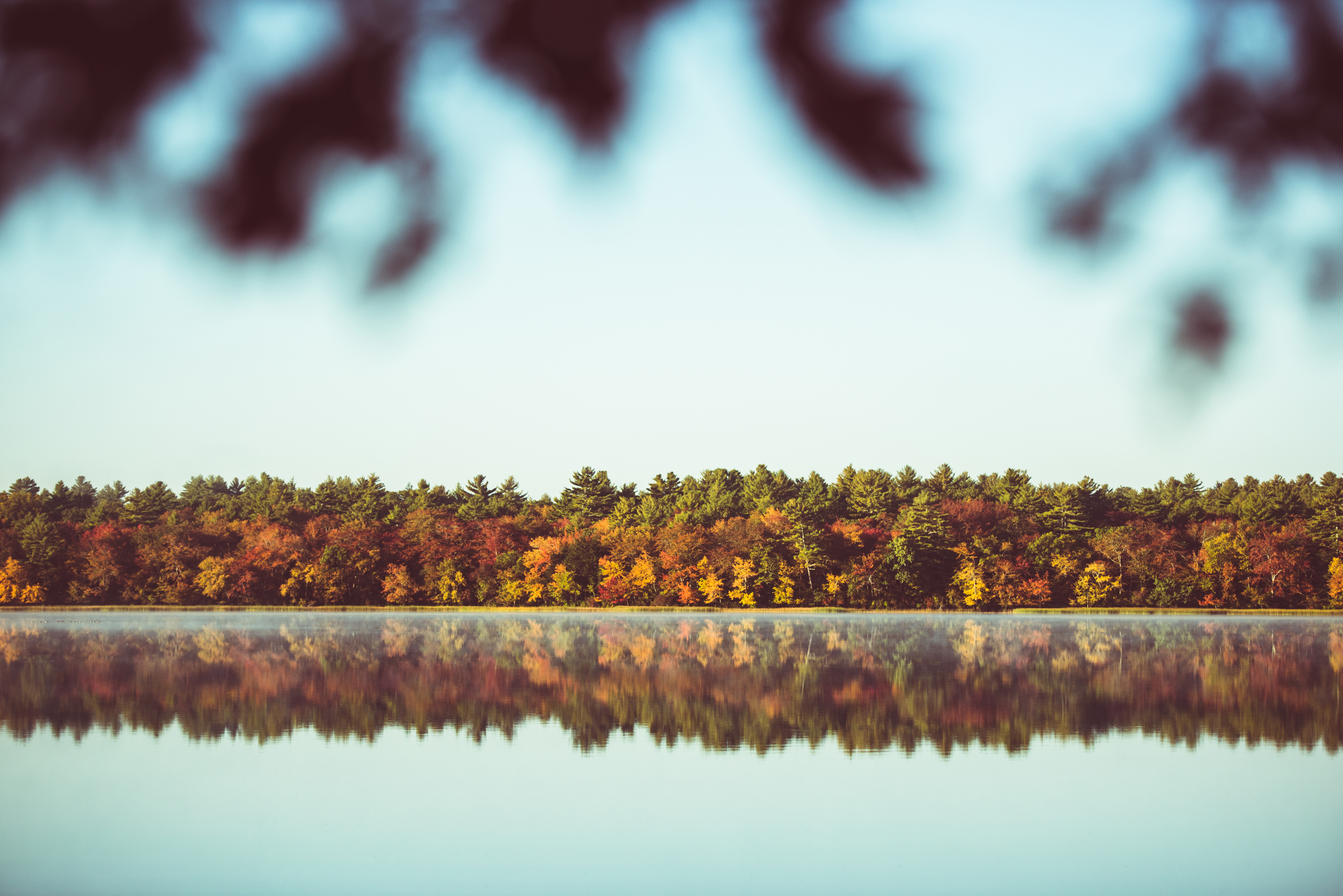 Lakeside Fall Foliage in Rhode Island