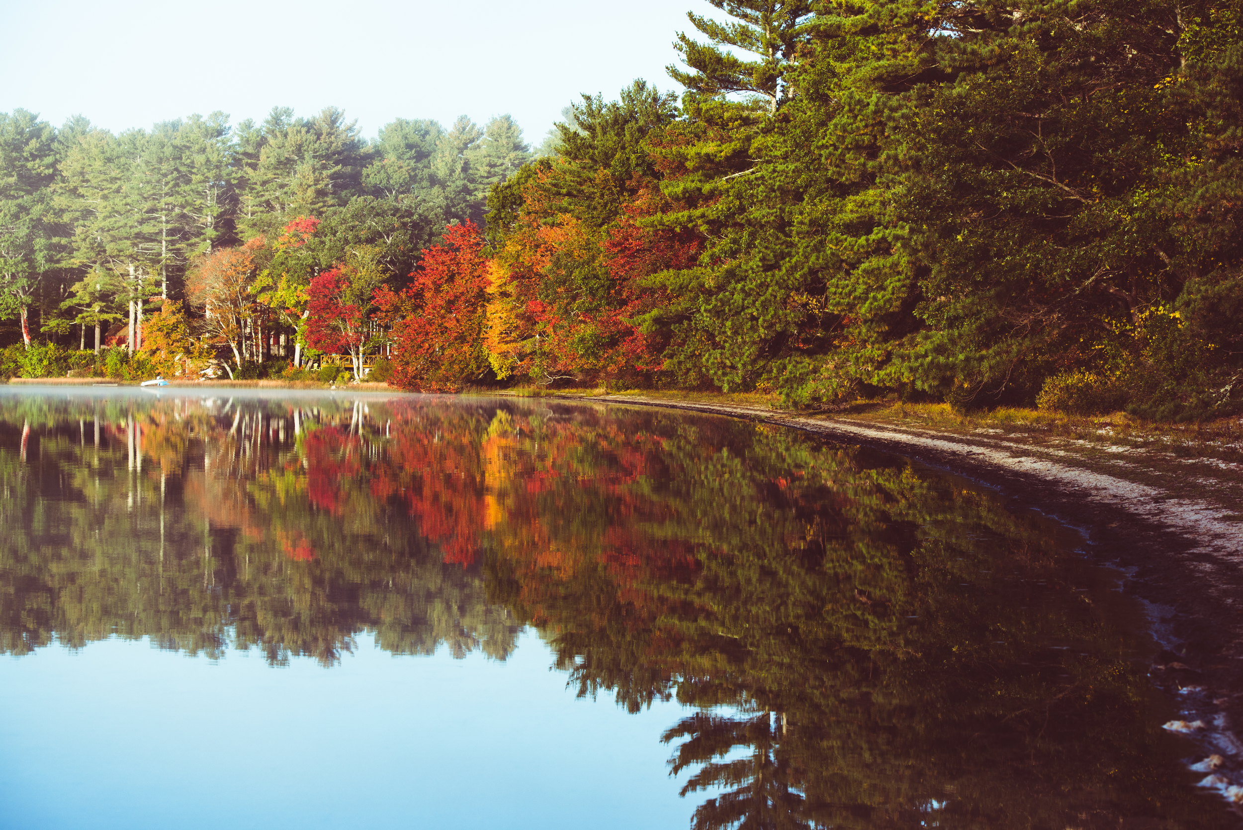 Fall Watercolors