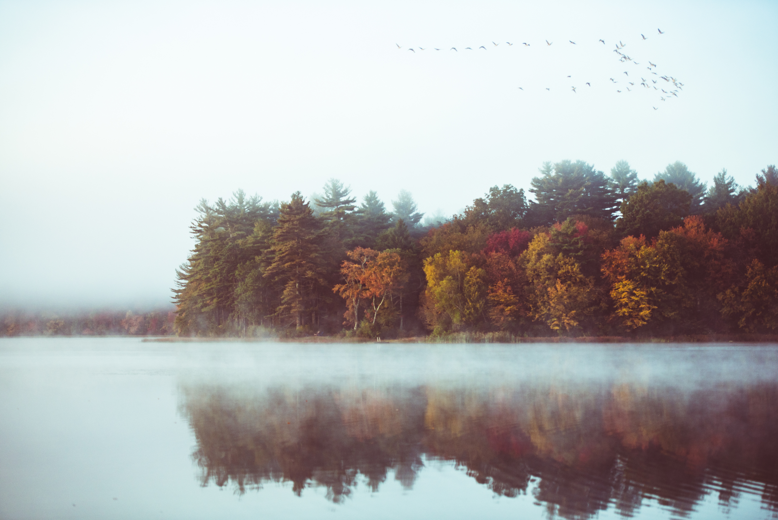 Rhode Island Fall Foliage