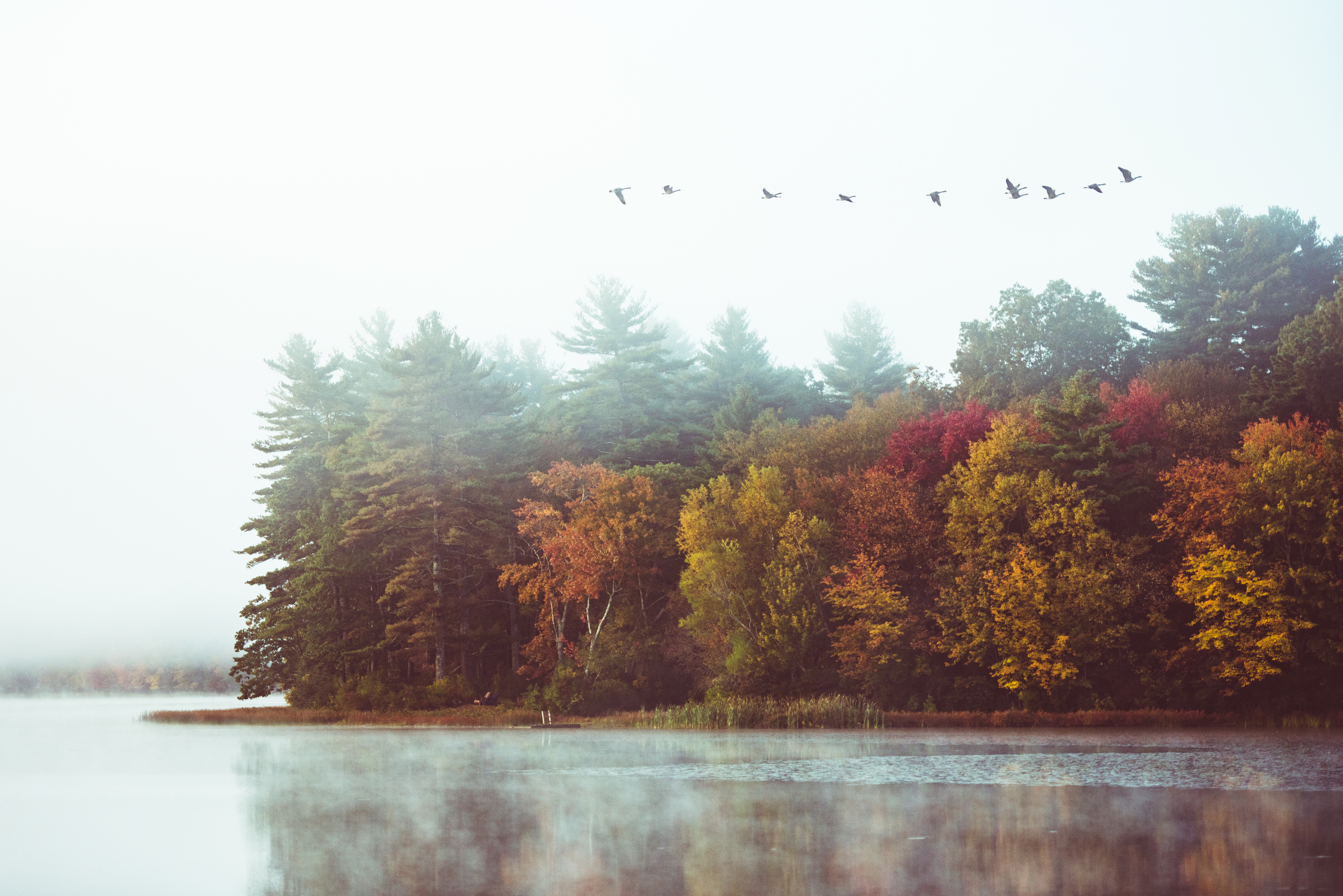 Fall Foliage in Rhode Island