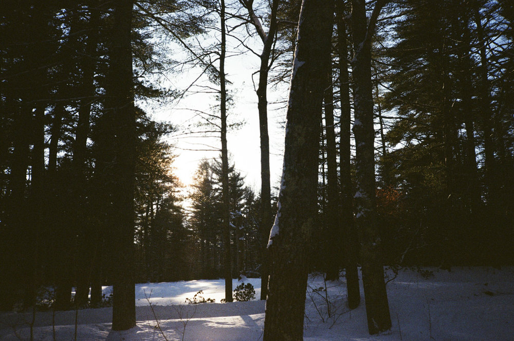 35mm winter in RI18.jpg