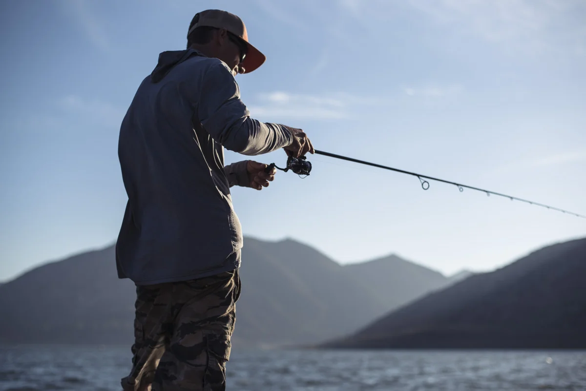 New School Bass El Cap30.jpg