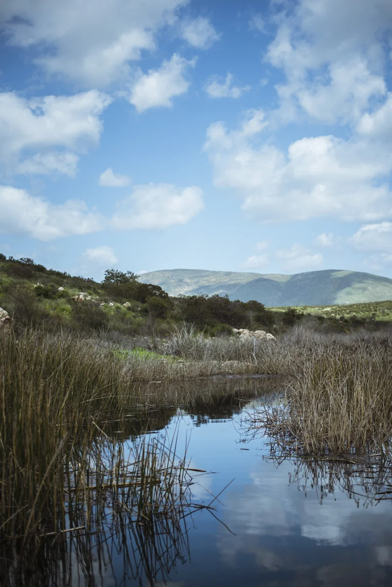 Otay 3.13.194.jpg