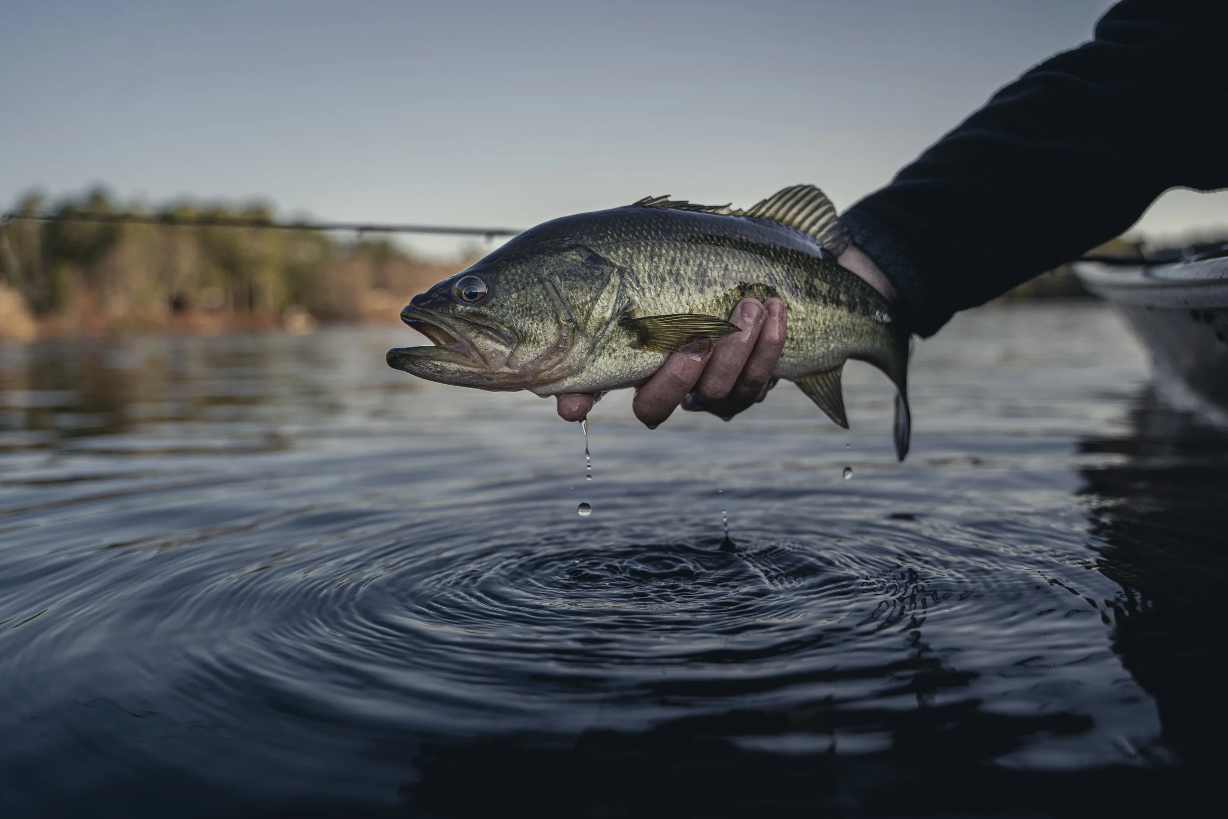 2021 Bass Fishing4.JPG